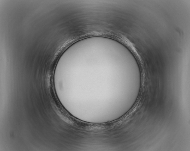 X0000115820106200911131115