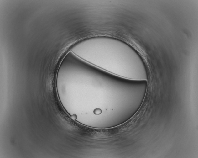 X0000115820107200911131115