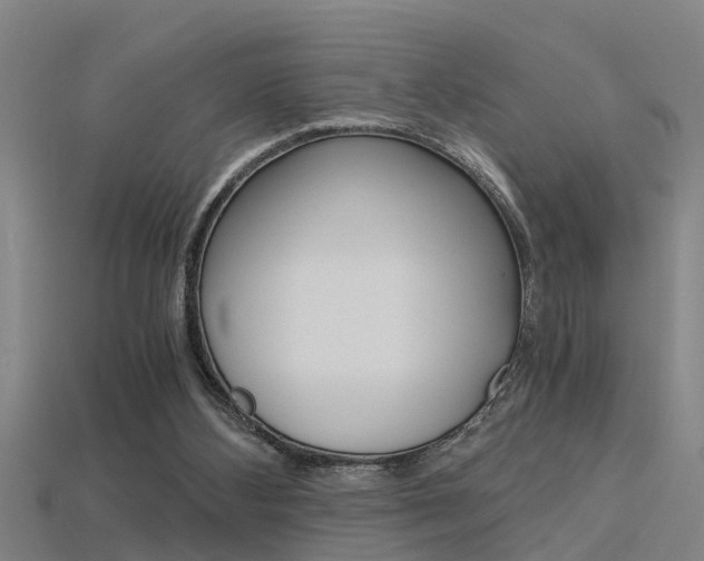 X0000115820108200911131115