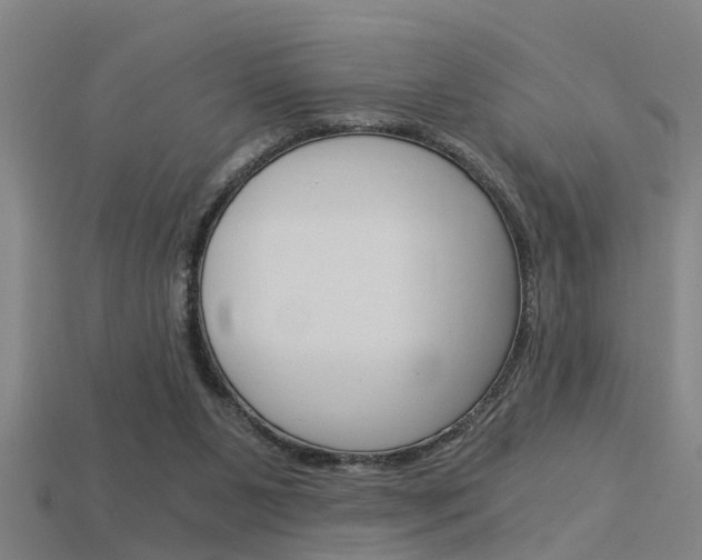 X0000115820111200911131115