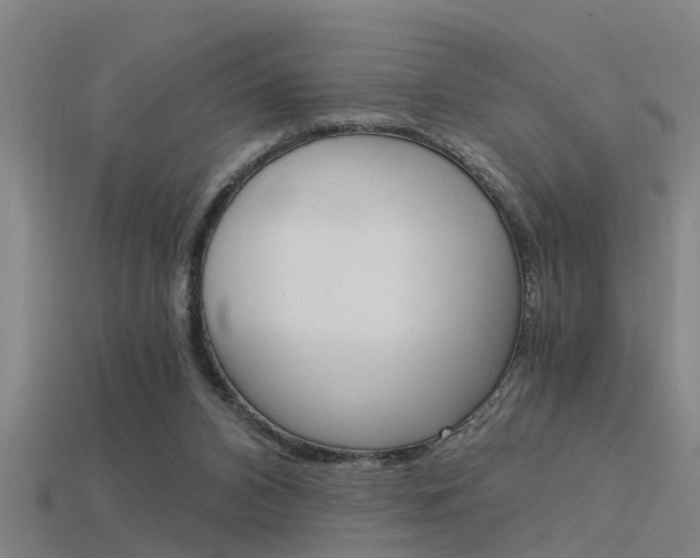 X0000115820112200911131115