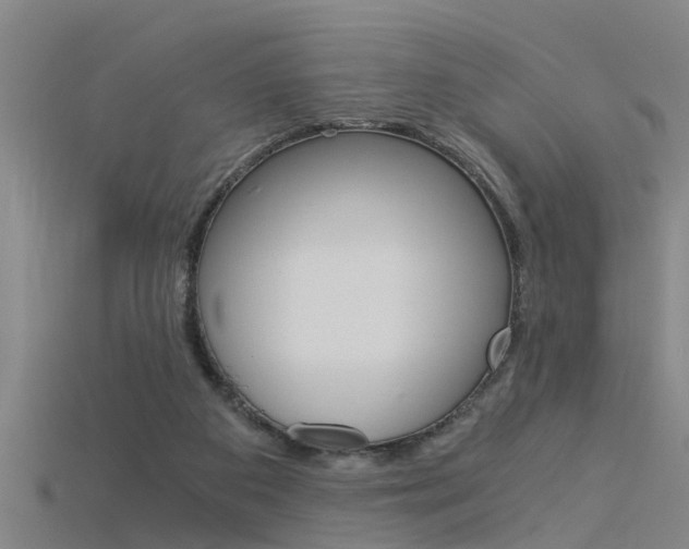 X0000115820113200911131115