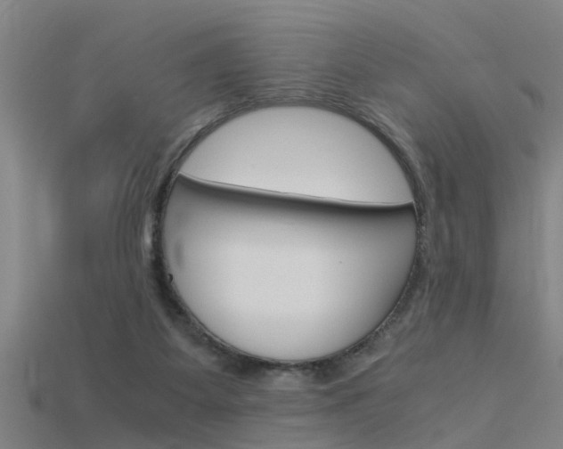 X0000115820115200911131115