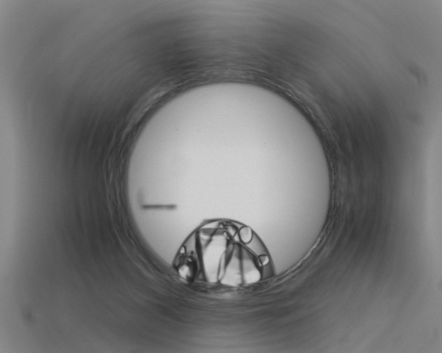 X0000115820116200911131115