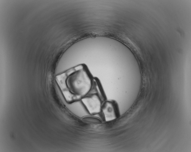 X0000115820117200911131115