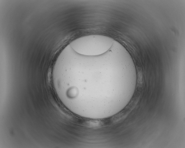 X0000115820118200911131115