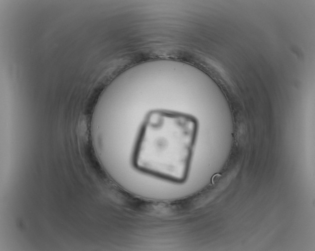 X0000115820121200911131115