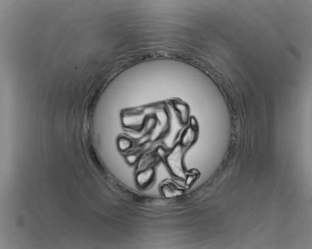 X0000115820129200911131115