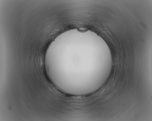 X0000115820131200911131114