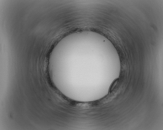 X0000115820133200911131114