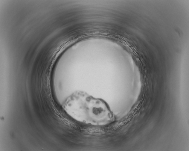 X0000115820146200911131114