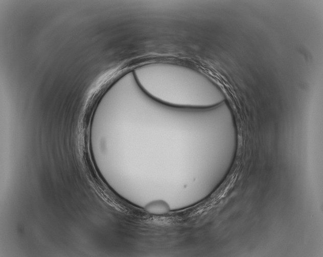X0000115820149200911131114
