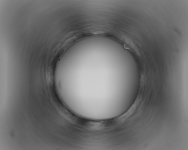 X0000115820170200911131114
