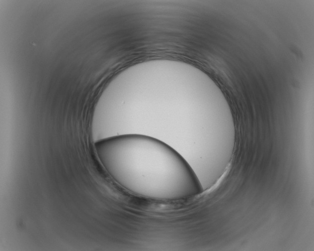 X0000115820174200911131114