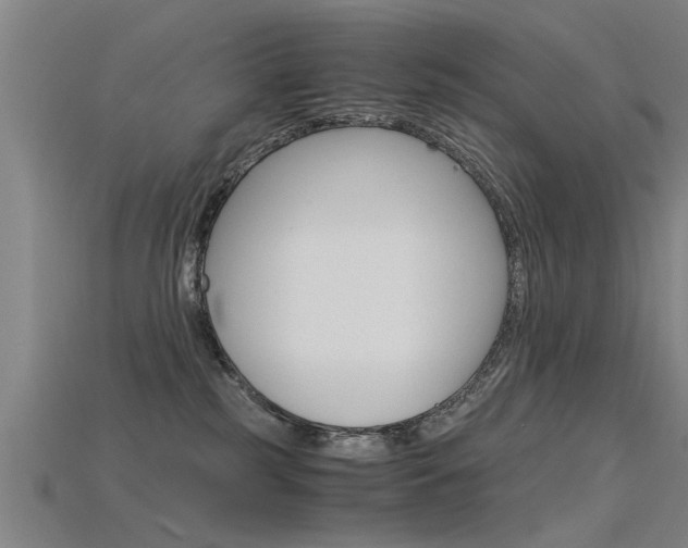 X0000115820185200911131114