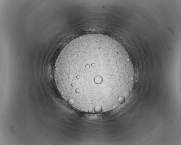 X0000115820187200911131114