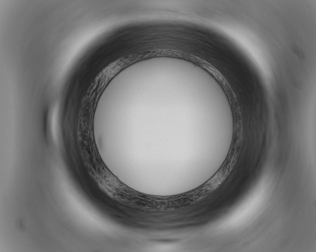 X0000115820189200911131114