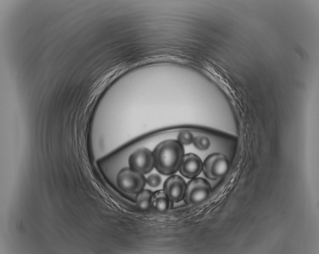 X0000115820193200911131114
