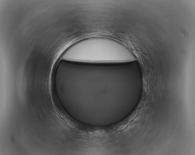 X0000115820196200911131114