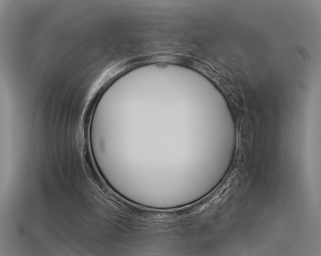 X0000115820198200911131113