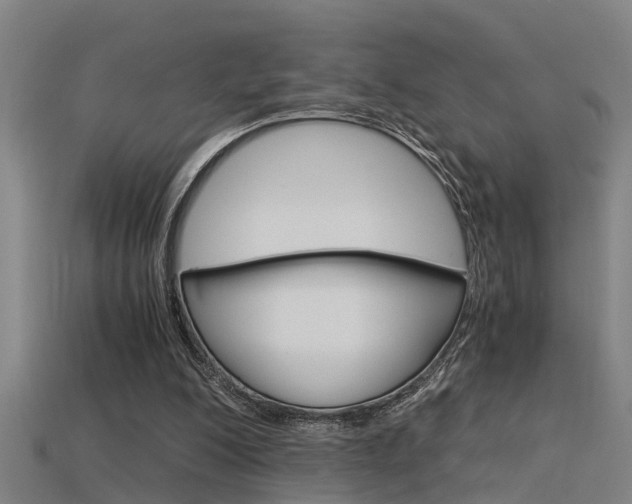 X0000115820200200911131113