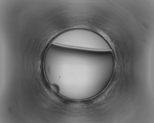 X0000115820201200911131113