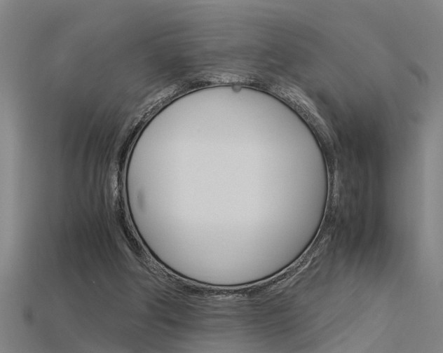 X0000115820202200911131113