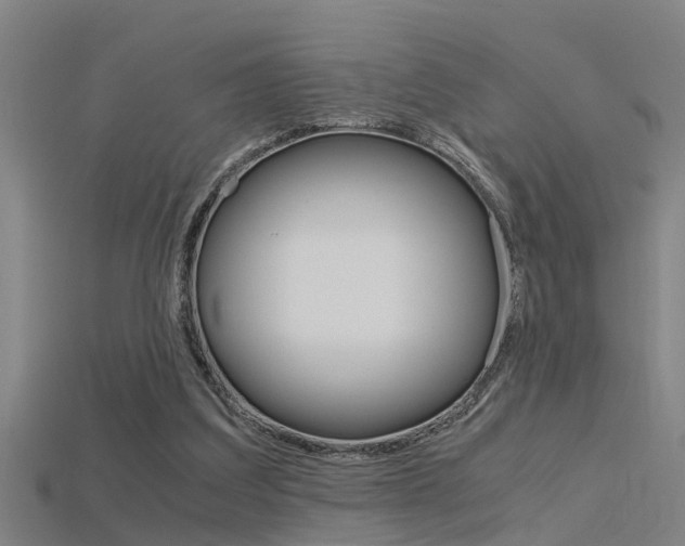 X0000115820203200911131113