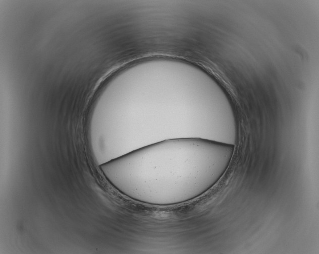 X0000115820204200911131113