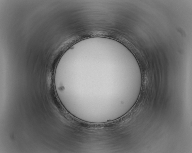 X0000115820206200911131113
