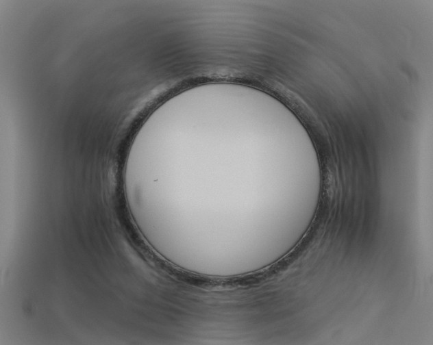 X0000115820208200911131113