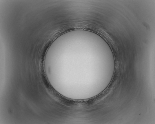 X0000115820209200911131113