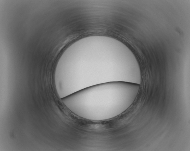 X0000115820212200911131113