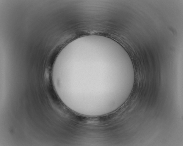 X0000115820214200911131113