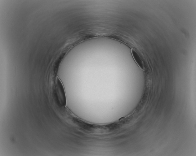 X0000115820215200911131113