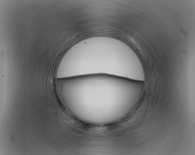 X0000115820217200911131113