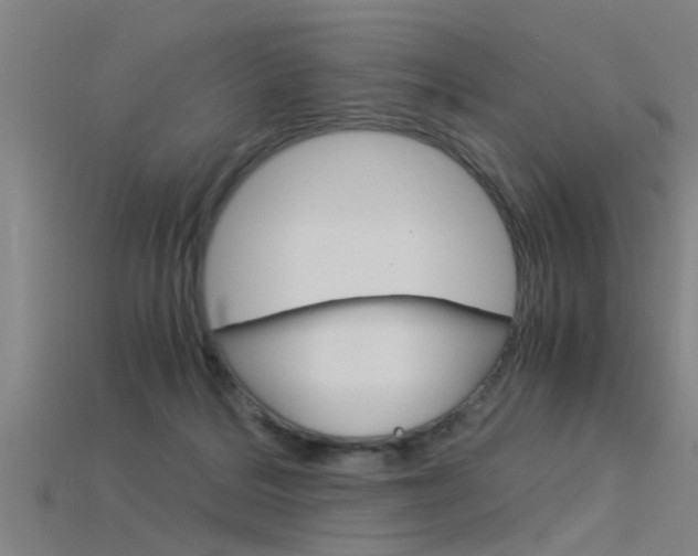 X0000115820220200911131113