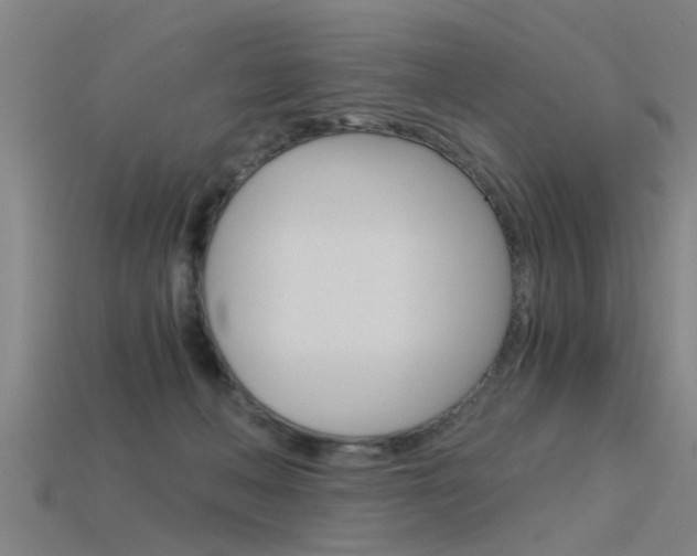 X0000115820222200911131113