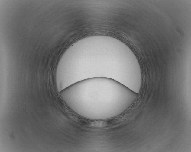 X0000115820225200911131113