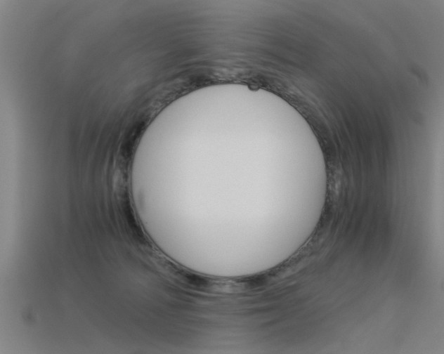 X0000115820226200911131113
