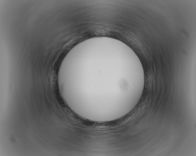 X0000115820228200911131113