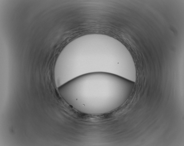 X0000115820229200911131113