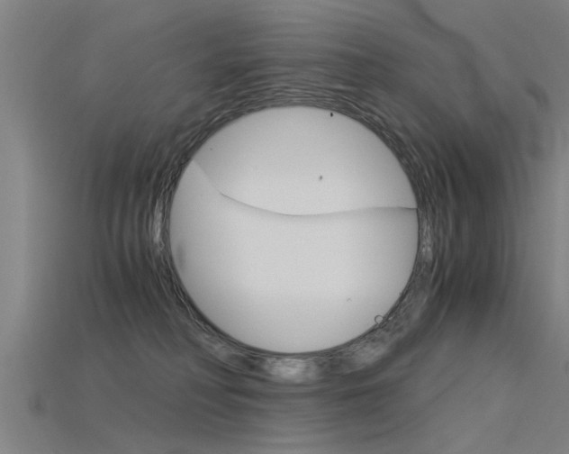 X0000115820230200911131113