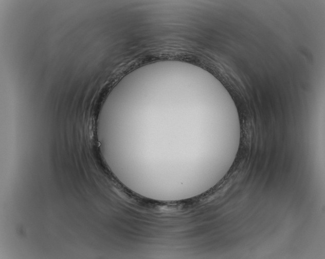 X0000115820232200911131113