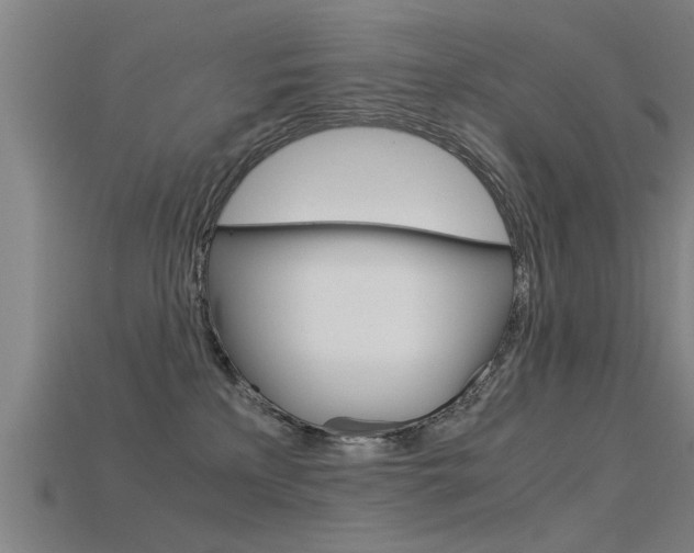 X0000115820233200911131113