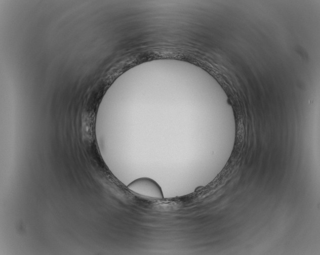 X0000115820234200911131113
