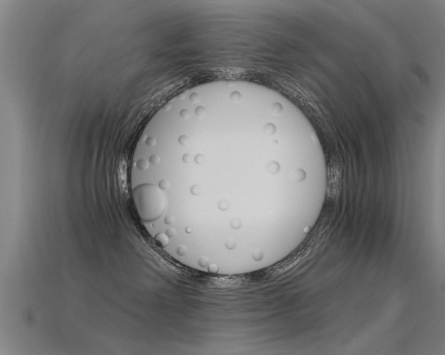 X0000115820238200911131113