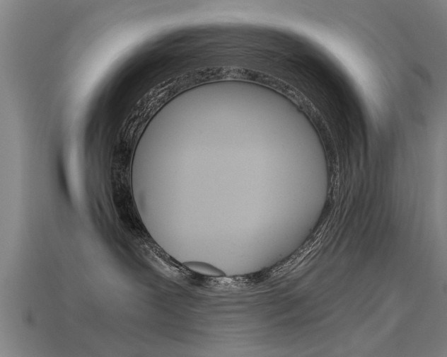 X0000115820239200911131113