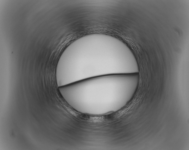 X0000115820240200911131113