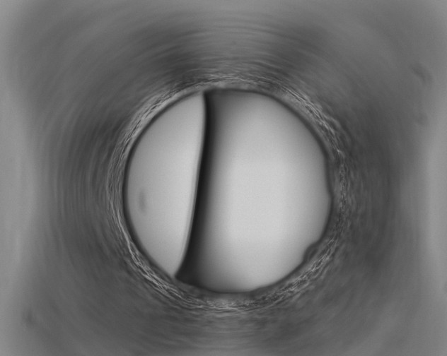X0000115820241200911131112